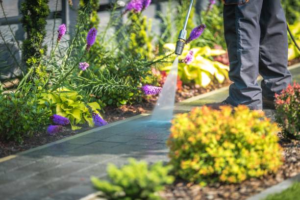 Best Gas Station Cleaning  in Williamsport, MD